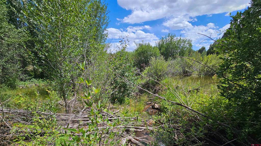 175 Bear Cub Hollow South Fork CO 81154