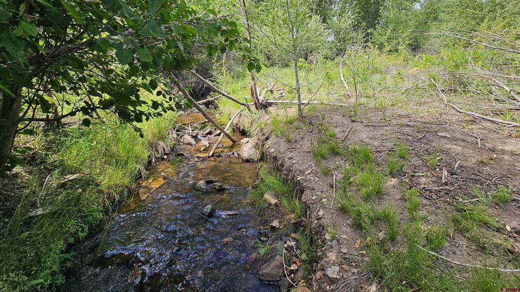 175 Bear Cub Hollow South Fork CO 81154