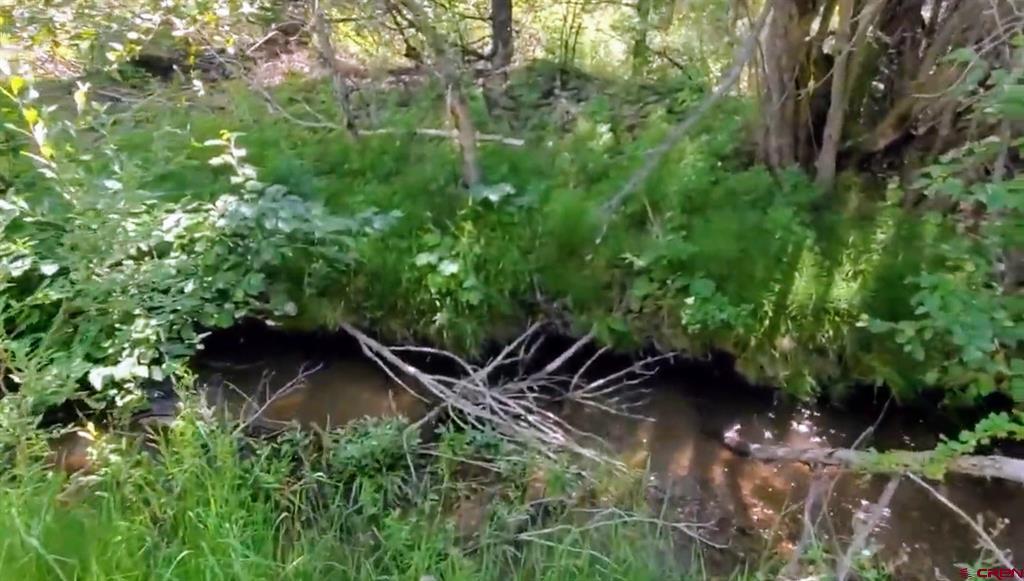 175 Bear Cub Hollow South Fork CO 81154