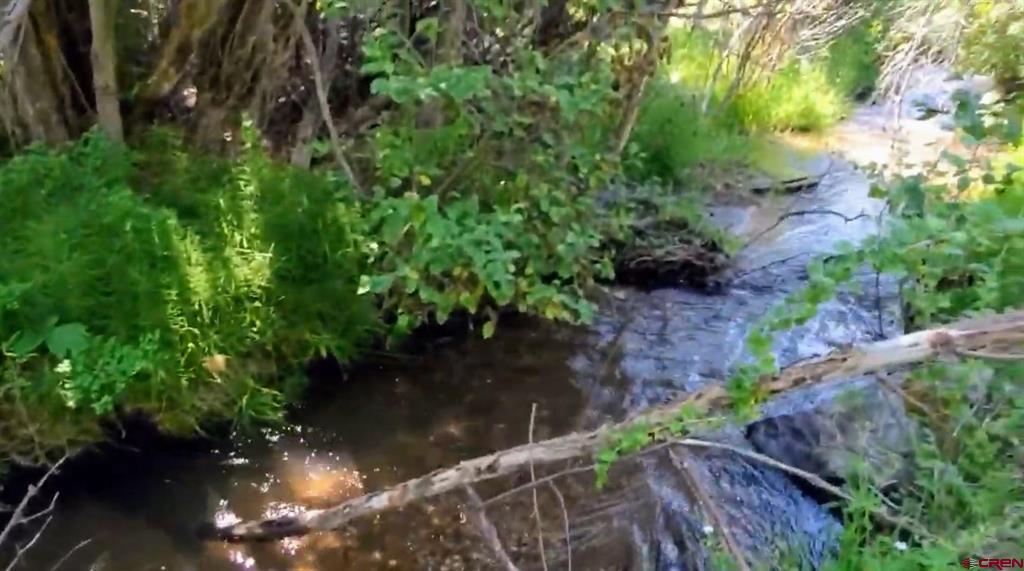 175 Bear Cub Hollow South Fork CO 81154