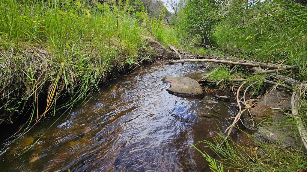 175 Bear Cub Hollow South Fork CO 81154