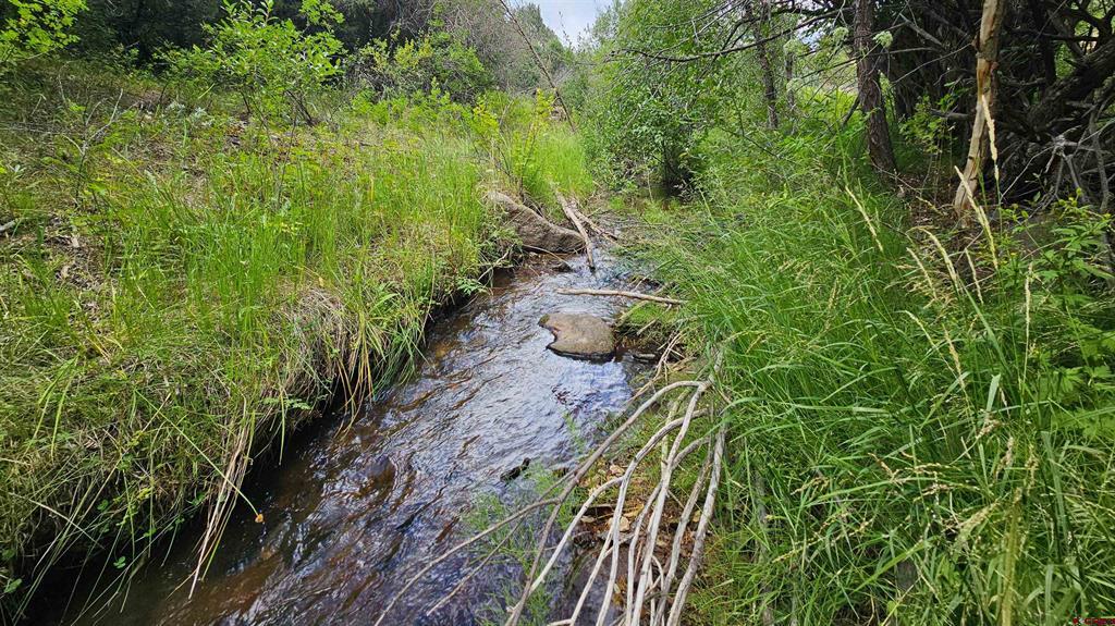 175 Bear Cub Hollow South Fork CO 81154