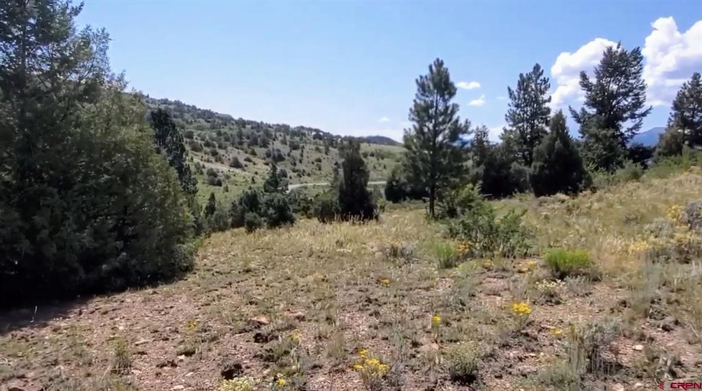 175 Bear Cub Hollow South Fork CO 81154