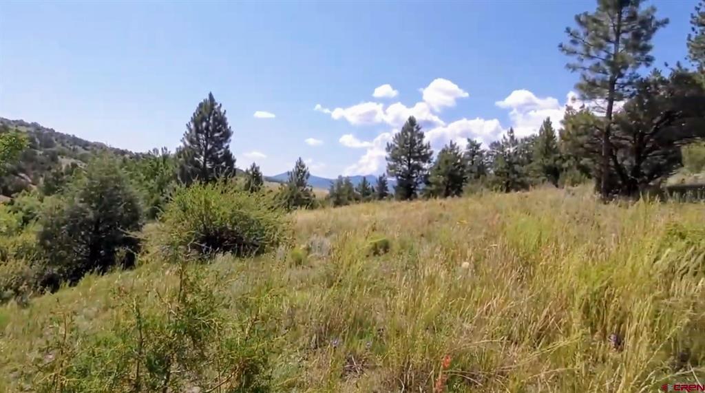 175 Bear Cub Hollow South Fork CO 81154
