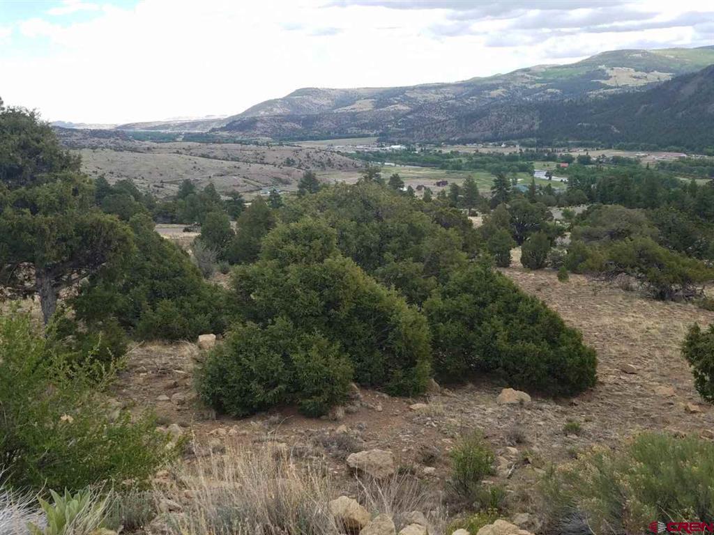 Tbd Little Bear Circle Lot 54 South Fork CO 81154