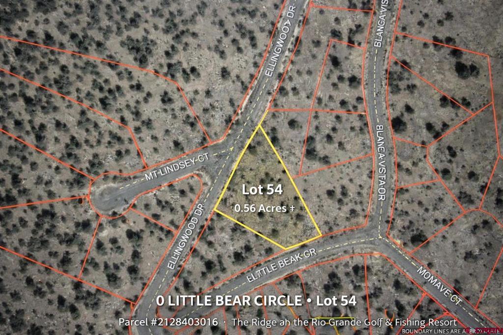 Tbd Little Bear Circle Lot 54 South Fork CO 81154