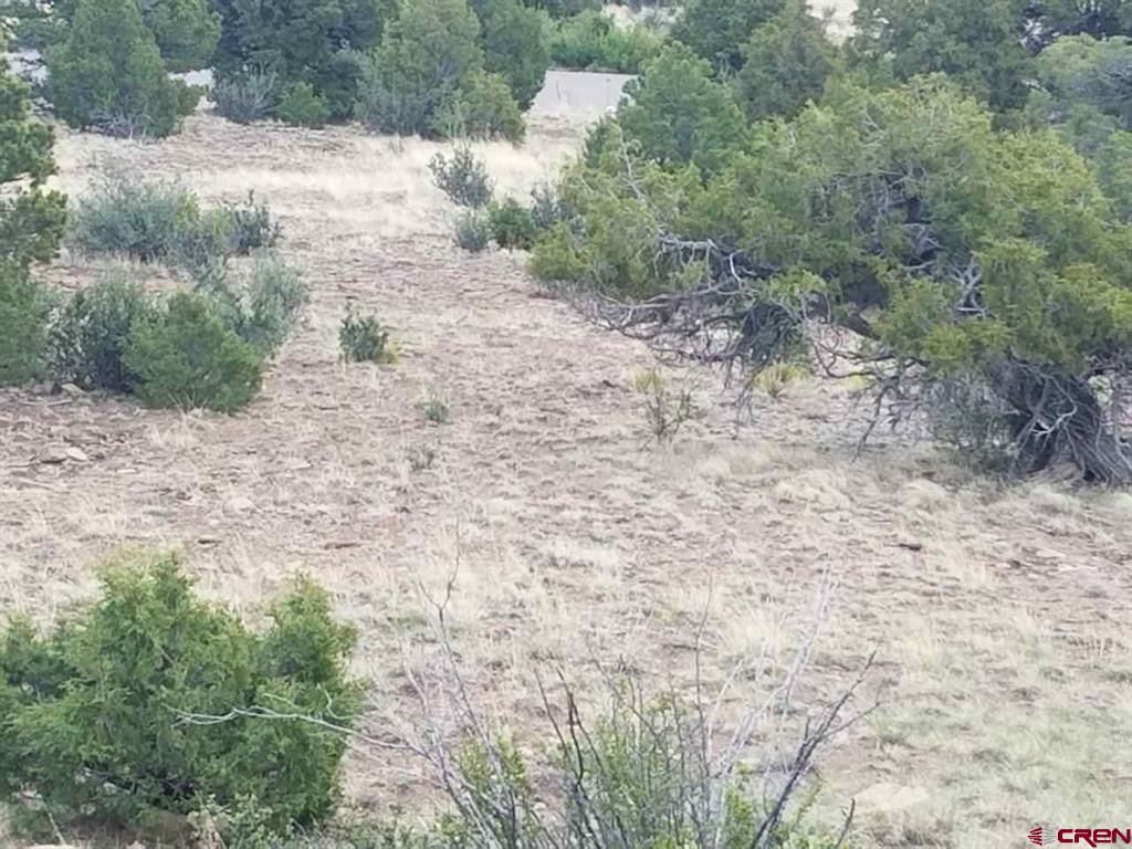 Tbd Little Bear Circle Lot 54 South Fork CO 81154