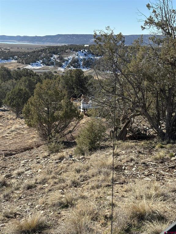 41 Val Verde Court Arboles CO 81121