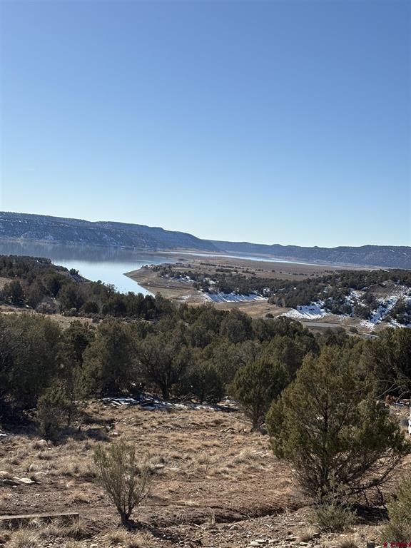 41 Val Verde Court Arboles CO 81121