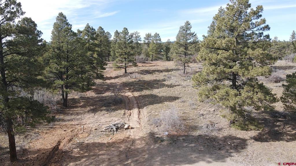 111 Tower Pagosa Springs CO 81147