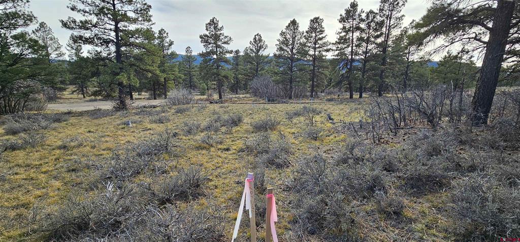 111 Tower Pagosa Springs CO 81147