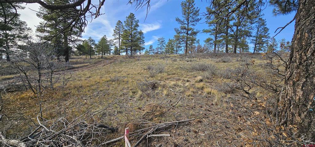 111 Tower Pagosa Springs CO 81147