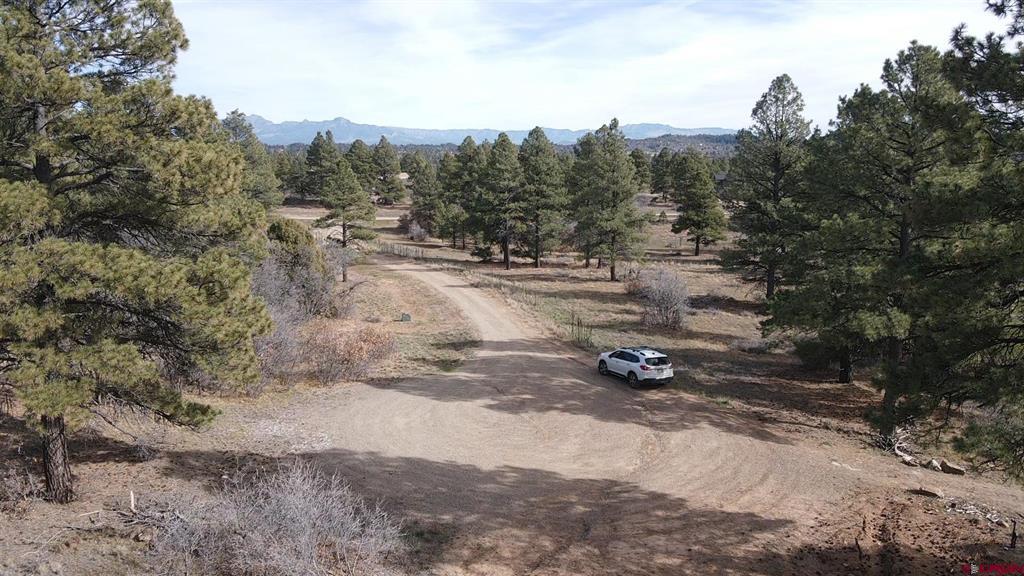 111 Tower Pagosa Springs CO 81147