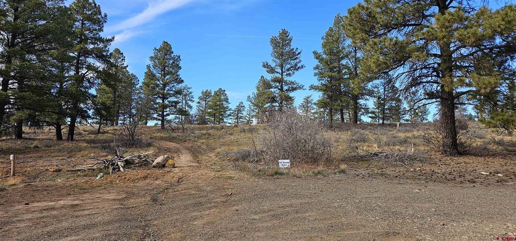 111 Tower Pagosa Springs CO 81147
