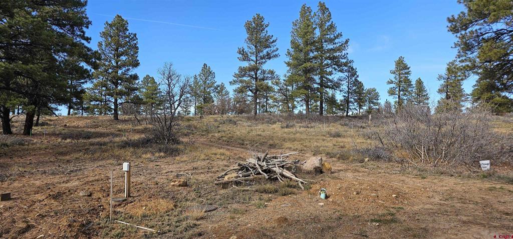 111 Tower Pagosa Springs CO 81147
