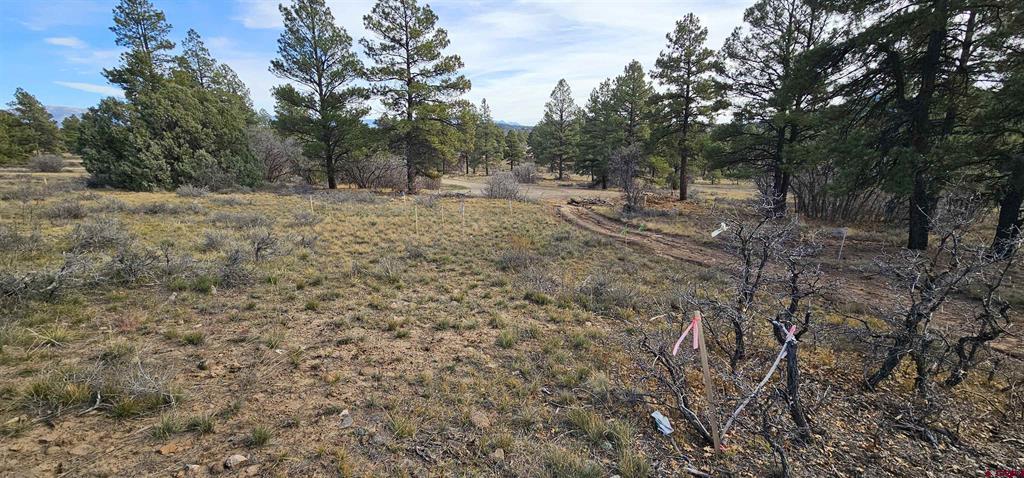 111 Tower Pagosa Springs CO 81147
