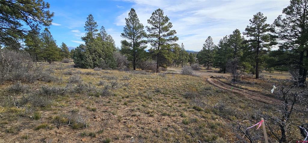 111 Tower Pagosa Springs CO 81147