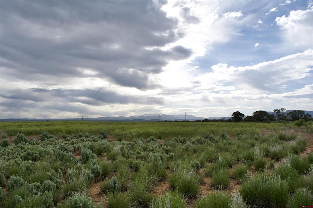 Lot 1 Road 24.3 Cortez CO 81321