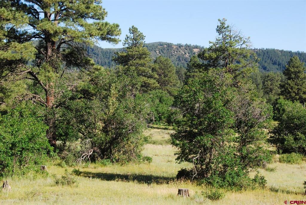 Pagosa Springs CO, X Us Hwy 84 #116