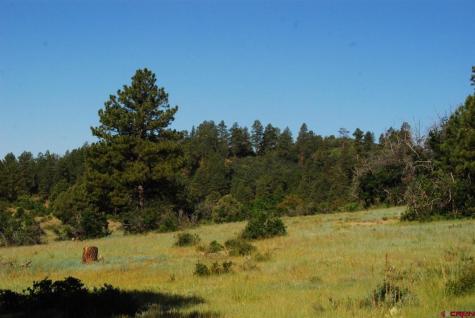 X Us Hwy 84 #116 Pagosa Springs CO 81147