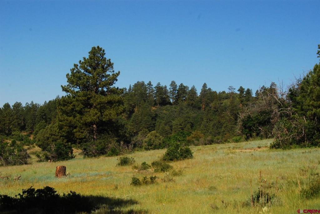 X Us Hwy 84 #116 Pagosa Springs CO 81147