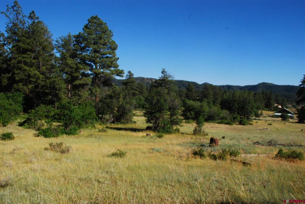 X Us Hwy 84 #116 Pagosa Springs CO 81147