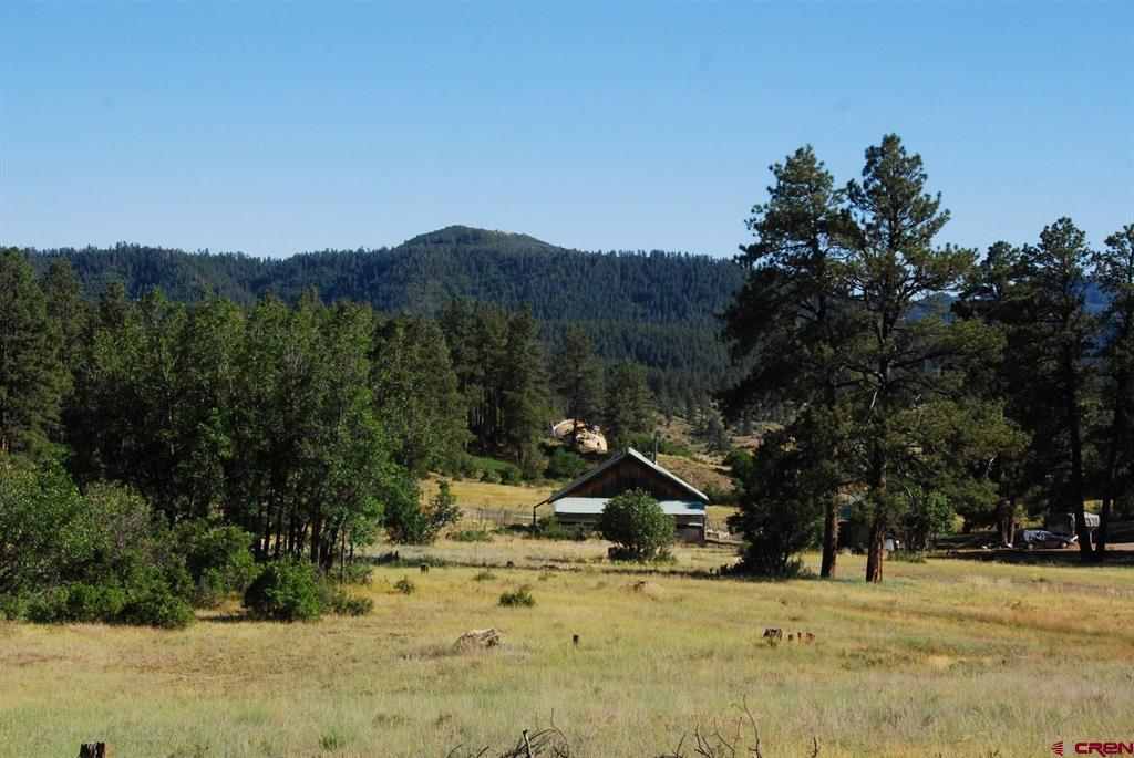 X Us Hwy 84 #116 Pagosa Springs CO 81147