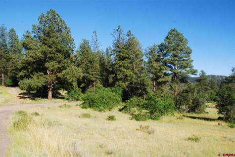 X Us Hwy 84 #116 Pagosa Springs CO 81147
