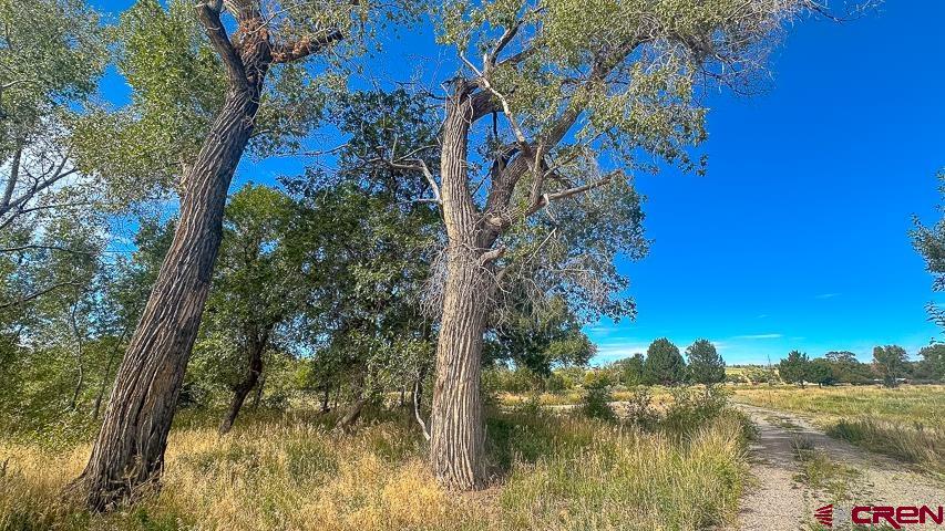 5947 County Road 516 Bayfield CO 81122