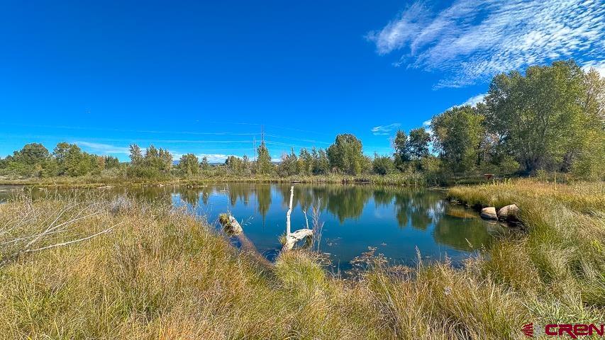 5947 County Road 516 Bayfield CO 81122