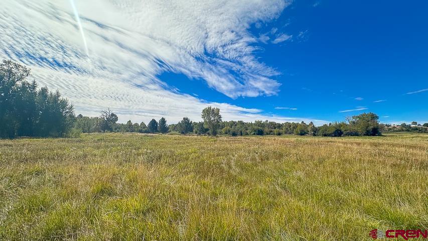 5947 County Road 516 Bayfield CO 81122
