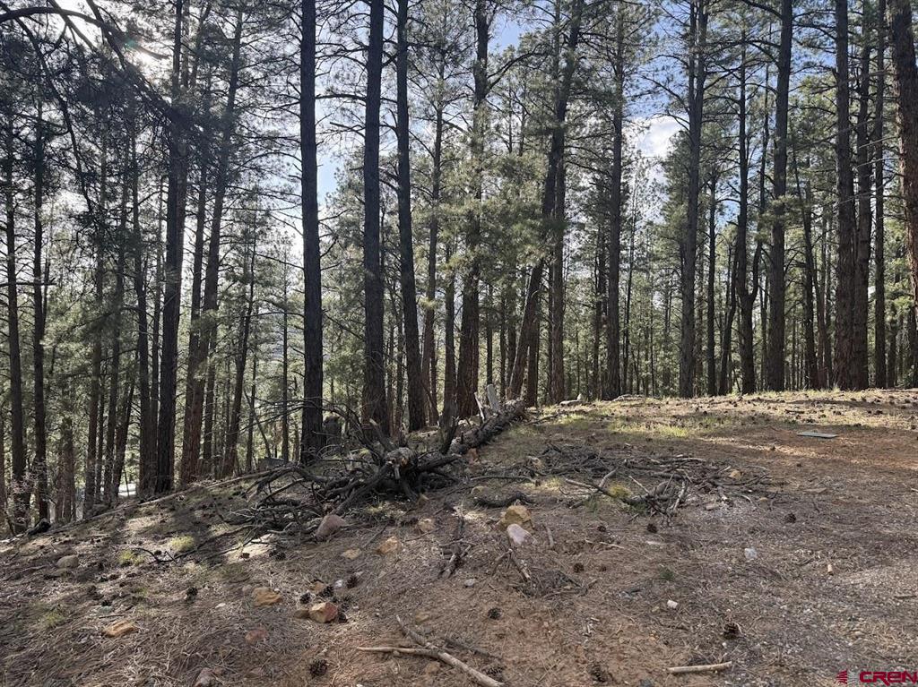 217 Pine Top Drive Bayfield CO 81137