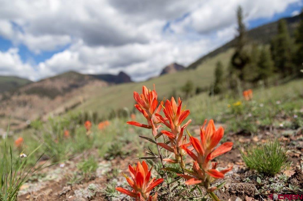 780 Cliff View Drive Creede CO 81130