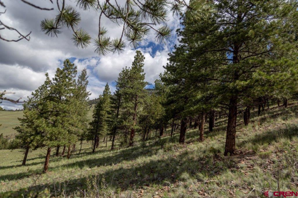 780 Cliff View Drive Creede CO 81130