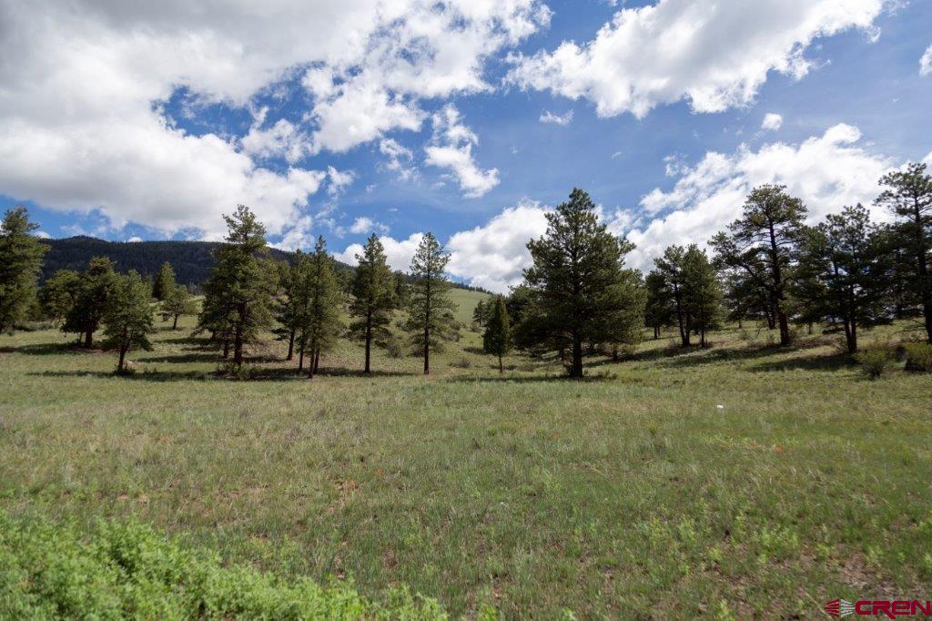 780 Cliff View Drive Creede CO 81130