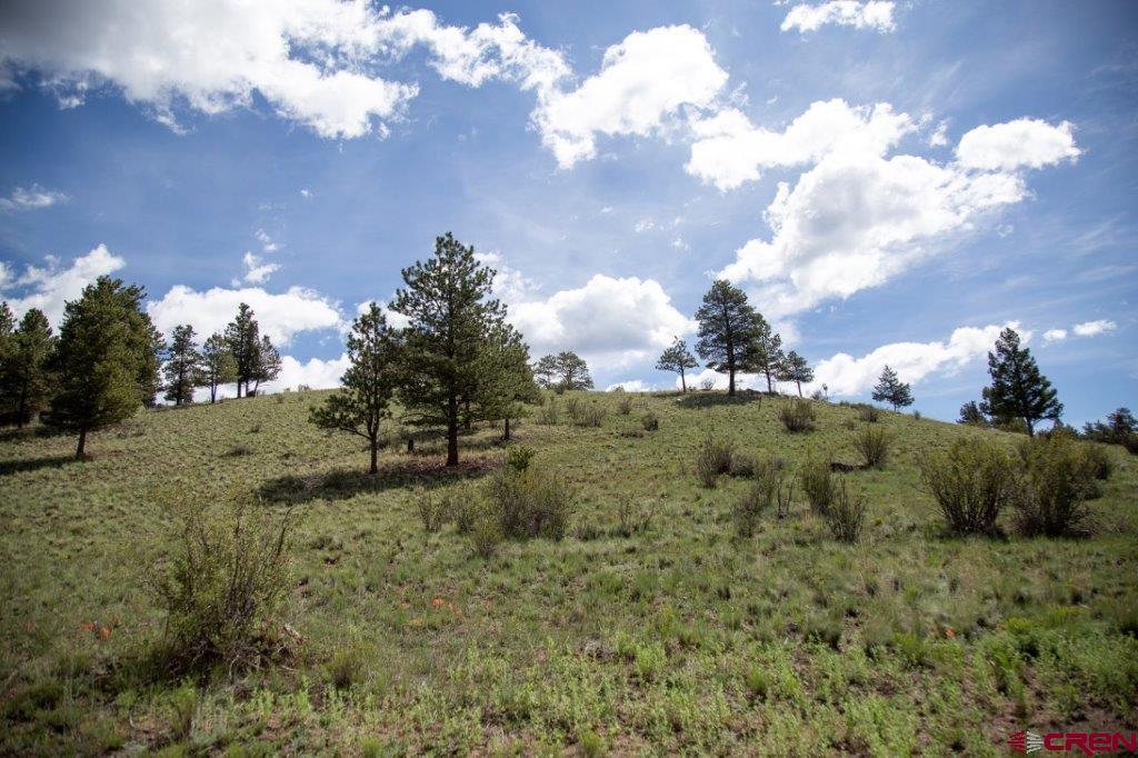 780 Cliff View Drive Creede CO 81130