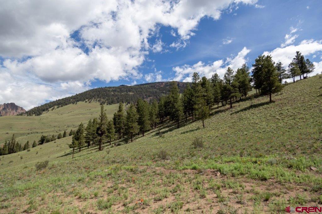 780 Cliff View Drive Creede CO 81130