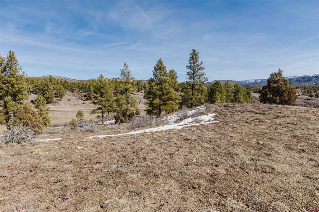 230 Kristina Court Pagosa Springs CO 81147