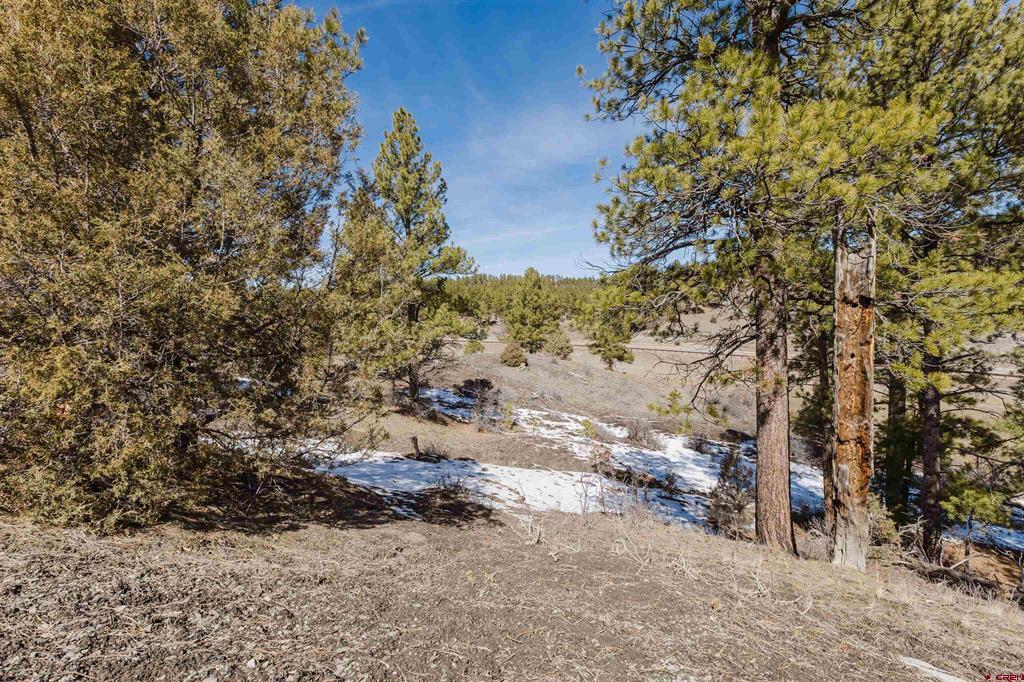 230 Kristina Court Pagosa Springs CO 81147