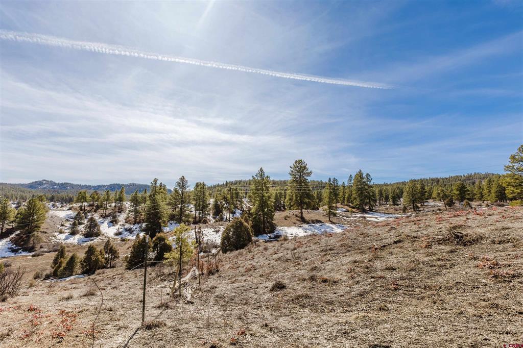 230 Kristina Court Pagosa Springs CO 81147