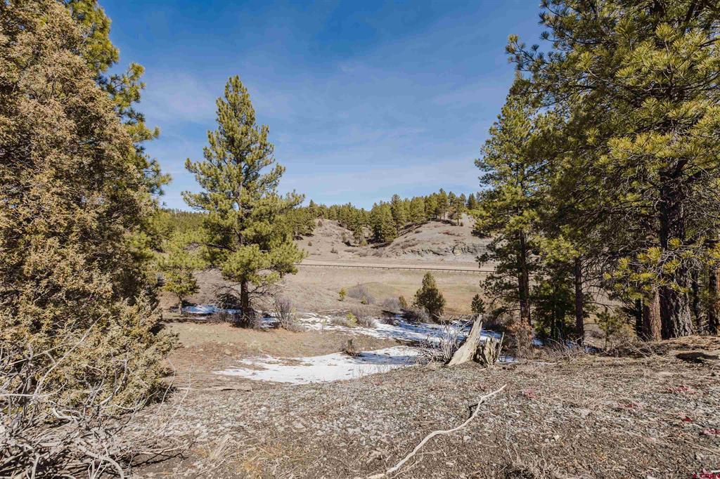 230 Kristina Court Pagosa Springs CO 81147