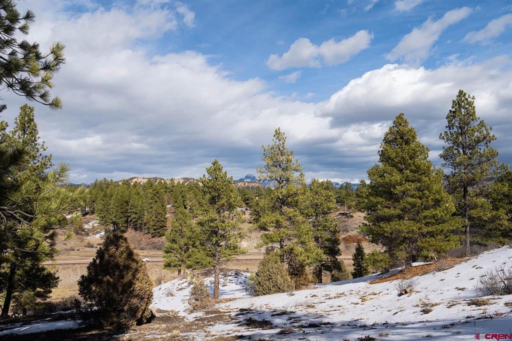 230 Kristina Court Pagosa Springs CO 81147