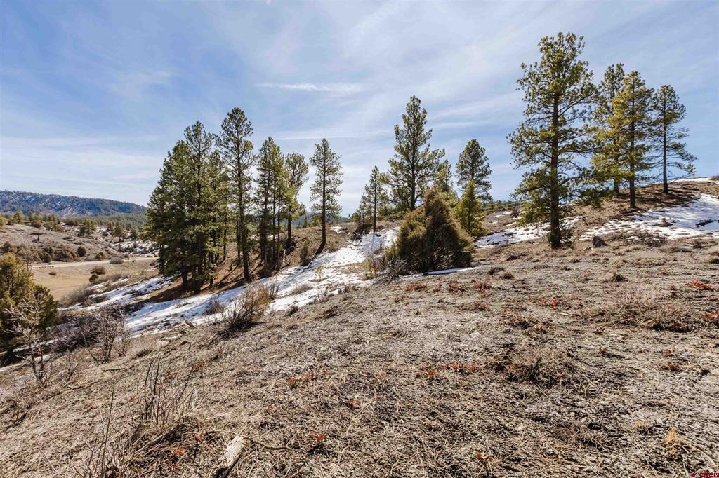 230 Kristina Court Pagosa Springs CO 81147