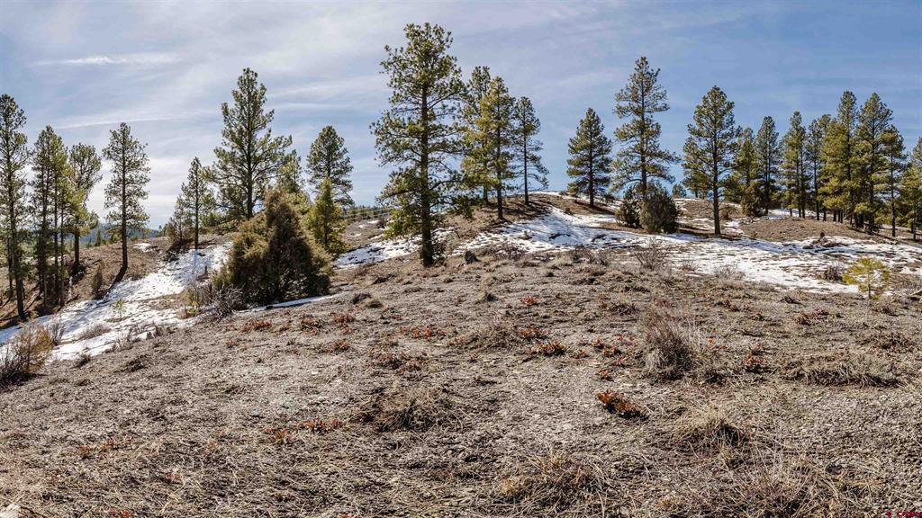 230 Kristina Court Pagosa Springs CO 81147