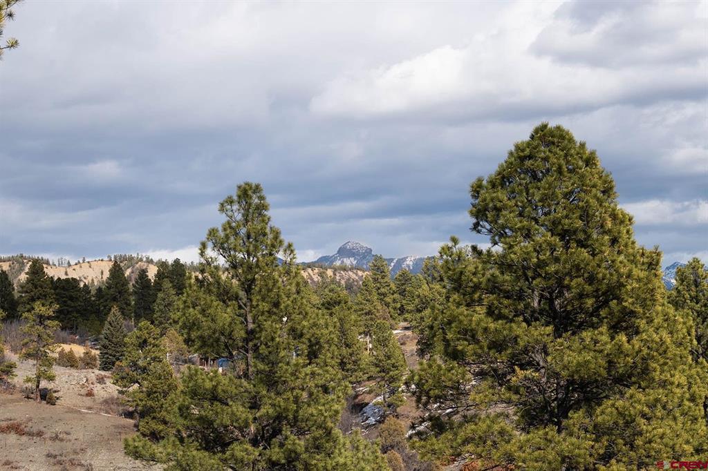 230 Kristina Court Pagosa Springs CO 81147