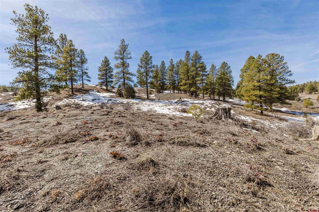 230 Kristina Court Pagosa Springs CO 81147