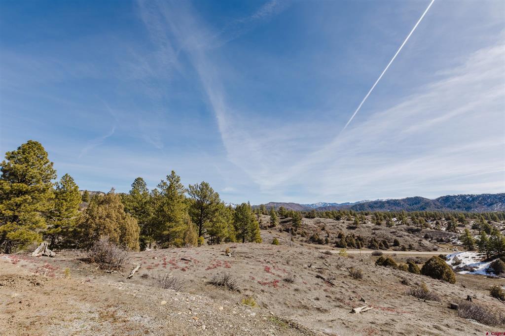 230 Kristina Court Pagosa Springs CO 81147