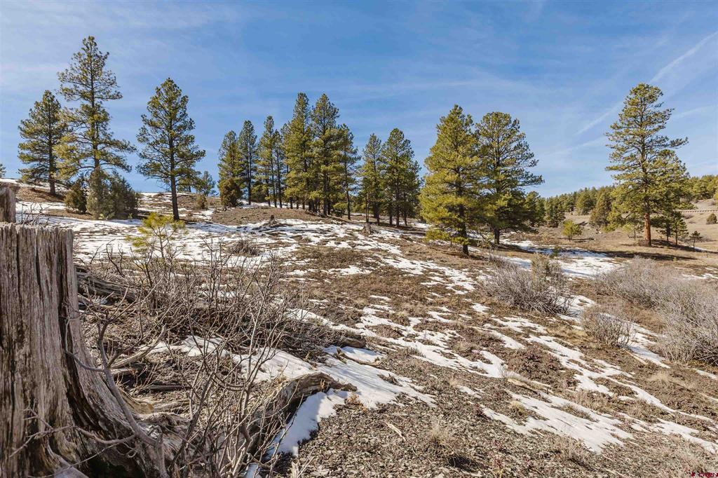 230 Kristina Court Pagosa Springs CO 81147