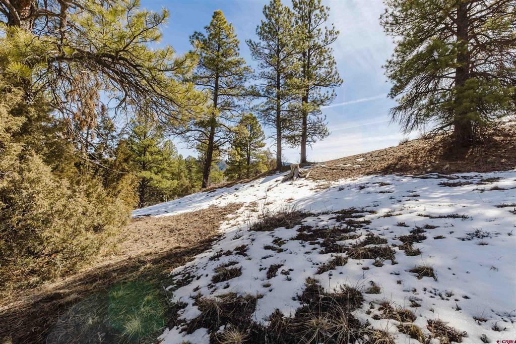 230 Kristina Court Pagosa Springs CO 81147