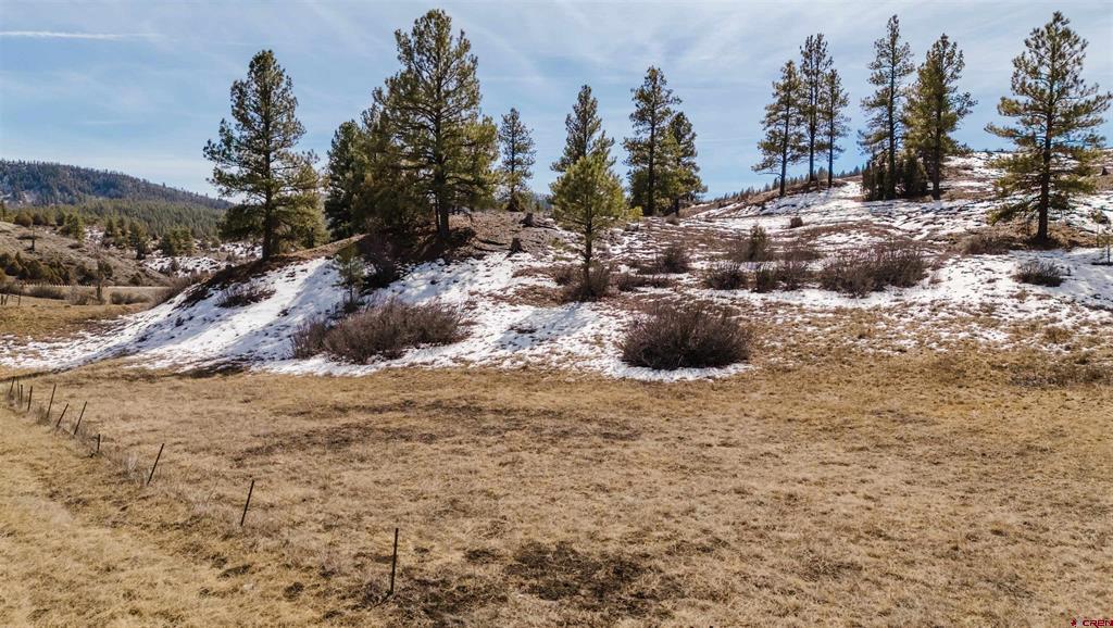 230 Kristina Court Pagosa Springs CO 81147